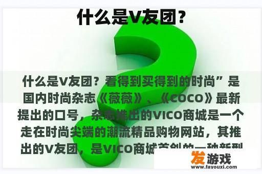什么是V友团？