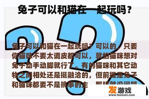 兔子可以和猫在一起玩吗？