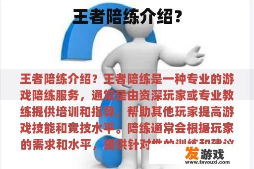 王者陪练介绍？