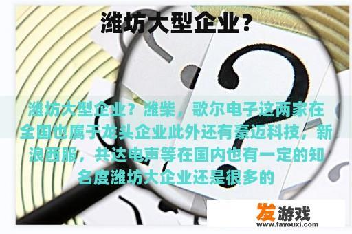 潍坊大型企业？