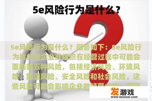 5E风险行为的概念与影响