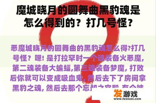 魔城晓月的圆舞曲黑豹魂是怎么得到的？打几号怪？
