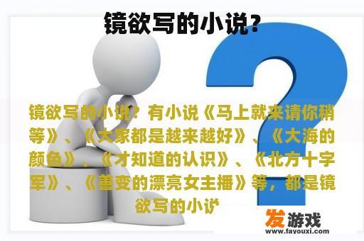 镜欲写的小说？