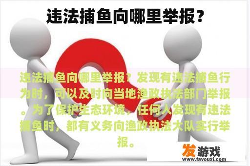 违法捕鱼向哪里举报？