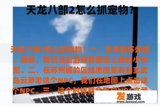 天龙八部2怎么抓宠物？