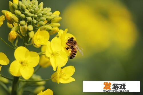 推荐10部百看不厌的经典电影？