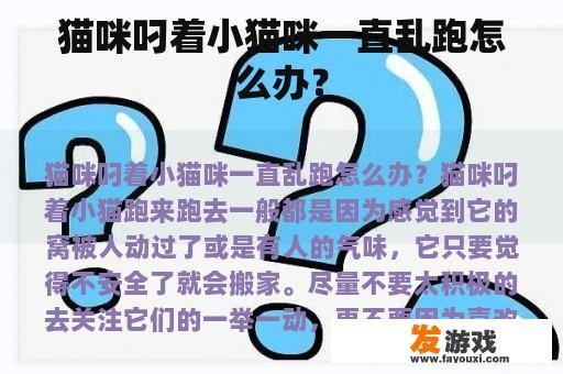 猫咪叼着小猫咪一直乱跑怎么办？