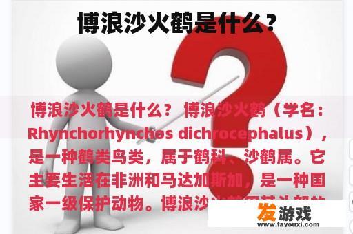 博浪沙火鹤是什么？