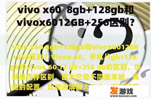 vivo x60  8gb+128gb和vivox6012GB+256区别？