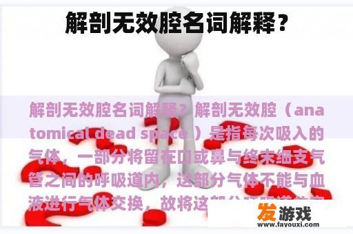 解剖无效腔的概念及其重要功能