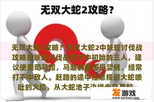 无双大蛇2攻略？