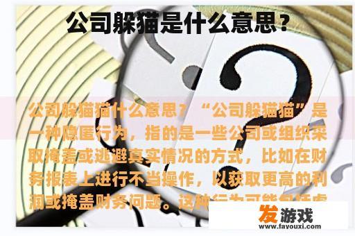 公司躲猫是什么意思？