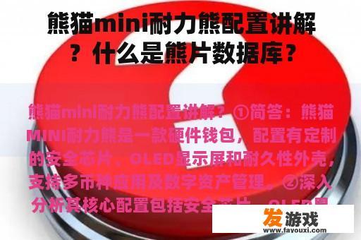 熊猫mini耐力熊配置讲解？什么是熊片数据库？