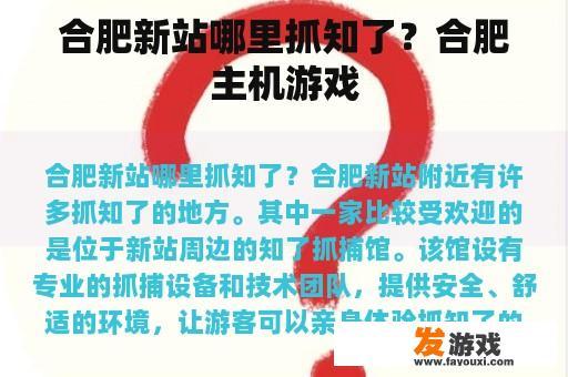 合肥新站哪里抓知了？合肥主机游戏