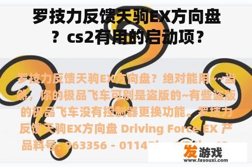 罗技力反馈天驹EX方向盘？cs2有用的启动项？