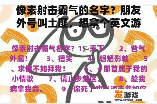 像素射击霸气的名字？朋友外号叫土匪，想拿个英文游戏网名，请大神告诉我...射击网游？