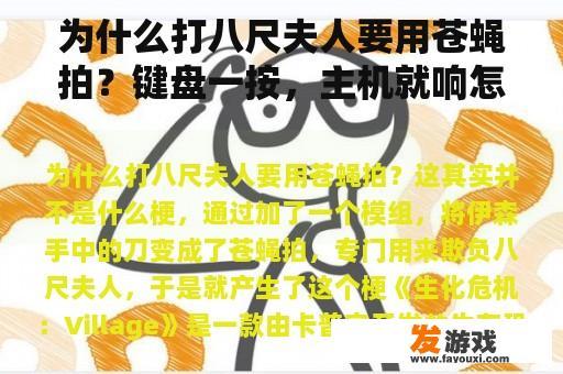 为什么打八尺夫人要用苍蝇拍？键盘一按，主机就响怎么办？