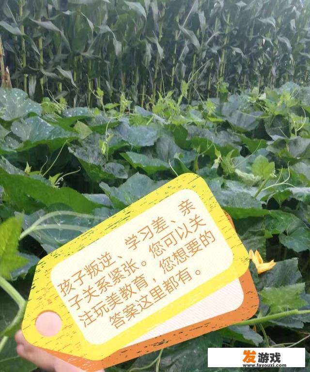 中小学沉迷网游，父母怎么看待？信息时代手机对学生的利与弊？