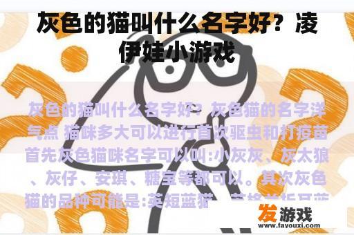 灰色的猫叫什么名字好？凌伊娃小游戏