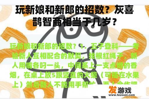 玩新娘和新郎的招数？灰喜鹊智商相当于几岁？