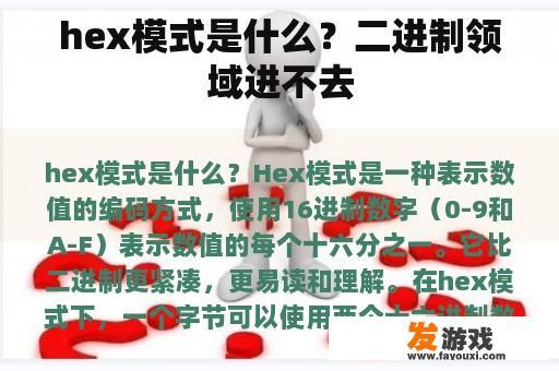hex模式是什么？二进制领域进不去