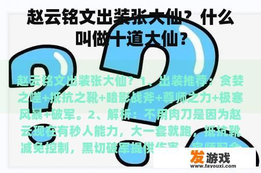 赵云铭文出装张大仙？什么叫做十道大仙？