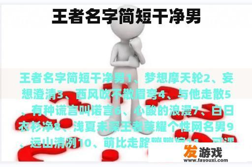 王者简短干净网名