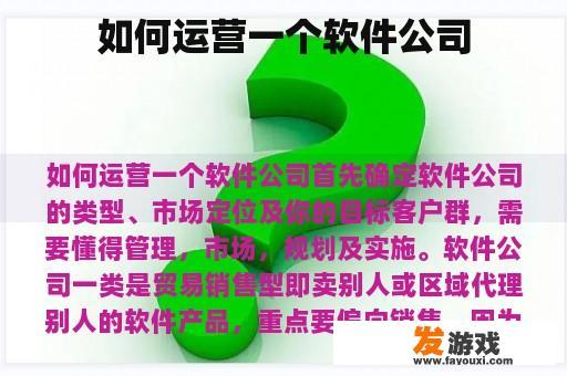 如何运营一个软件公司