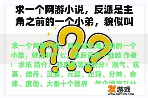 求一个网游小说，反派是主角之前的一个小弟，貌似叫十七，最后背叛了