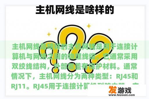 主机网线是啥样的
