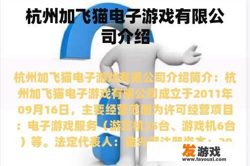 杭州加飞猫电子游戏有限公司介绍