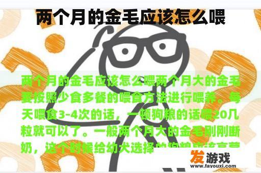 两个月的金毛应该怎么喂