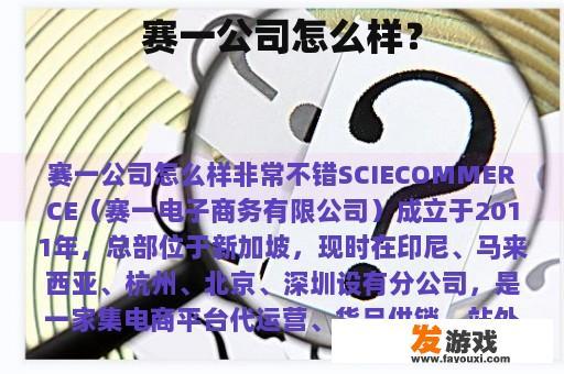赛一公司怎么样？