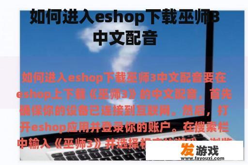 巫师3中文配音下载指南
