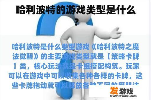 哈利波特的游戏类型是什么？