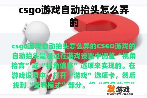 csgo游戏自动抬头怎么弄的