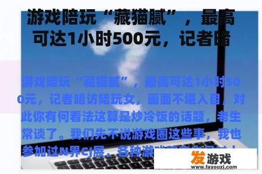 游戏陪玩“藏猫腻”，最高可达1小时500元，记者暗访陪玩女，画面不堪入目，对此你怎么看？