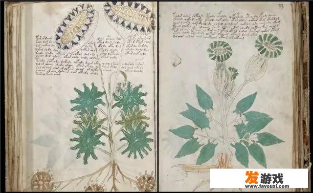 历史上有哪些未解之谜，让人事后想想是最为匪夷所思的