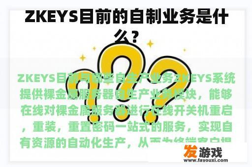 ZKEYS目前的自制业务是什么？