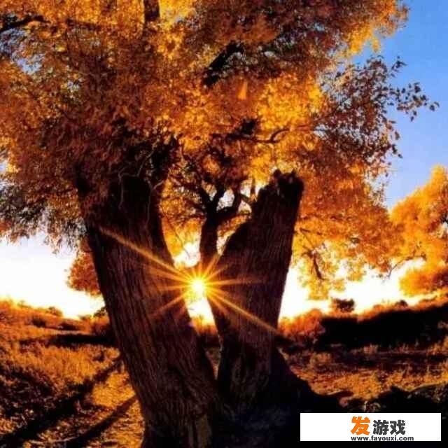 您在头条中有超过10万阅读量的原创文章吗？能不能发在下面让我们阅读欣赏一下
