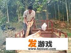 你玩过最无耻黑心的游戏是什么游戏