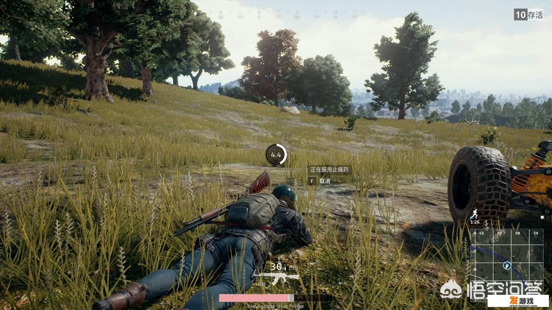有哪些steam游戏有国服，性价比高的？怎么样