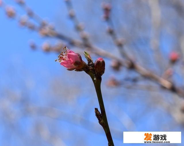 平时农村的大爷大妈们有什么娱乐活动