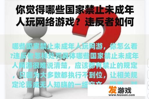 你觉得哪些国家禁止未成年人玩网络游戏？违反者如何处罚？