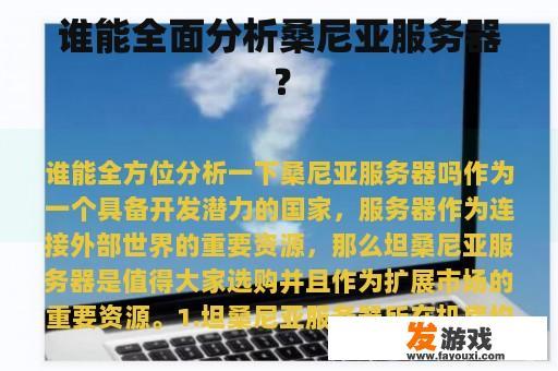 谁能全面分析桑尼亚服务器？
