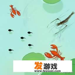 墨虾探蝌怎么变青蛙