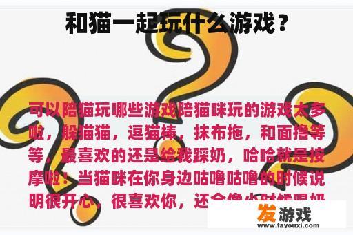 和猫一起玩什么游戏？