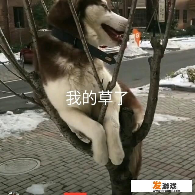 你见过哪些吃鸡游戏的外挂