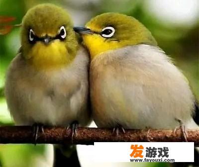 能否说一句你家乡话的方言，看看有多少人知道这句话的意思