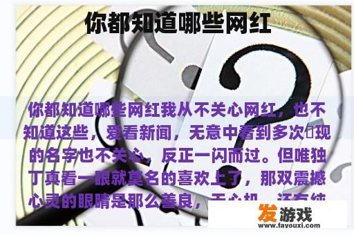 网红人物